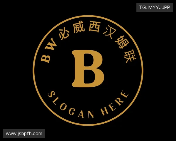 介绍bw必威西汉姆联